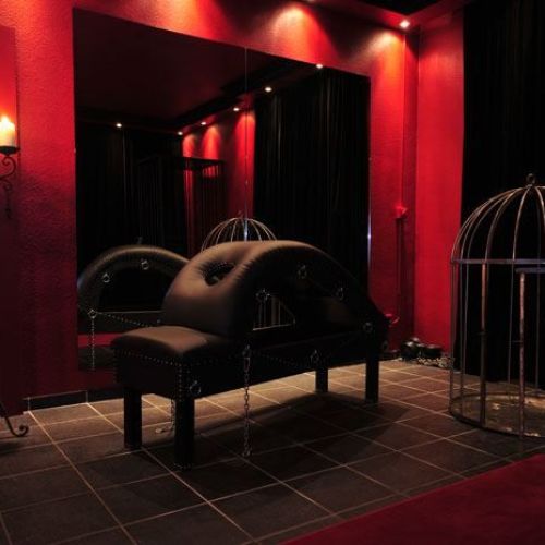 Galeriebild 3 von Kinky Revolution