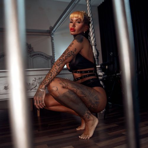 Galeriebild 1 von Mallory van Knox