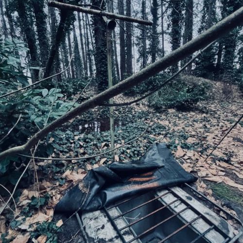 Galeriebild 2 von Mistress Henriette