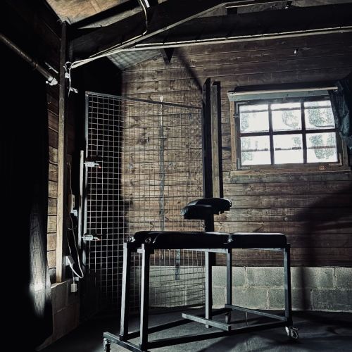 Galeriebild 7 von Mistress Henriette