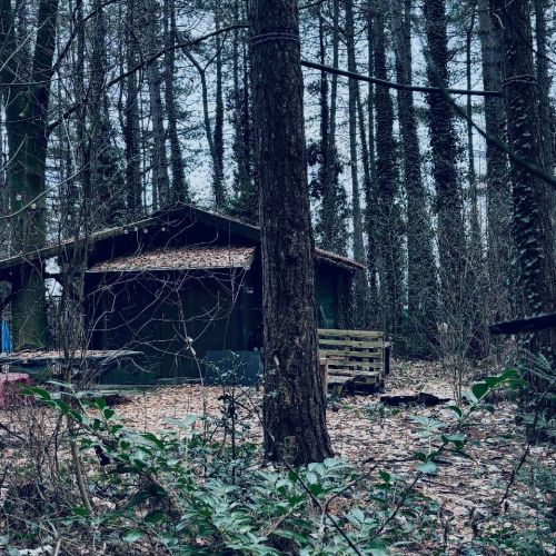 Galeriebild 4 von Mistress Henriette