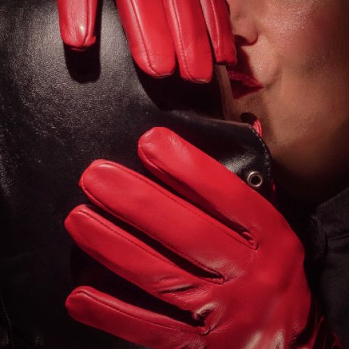 Galeriebild 18 von Nala Ares